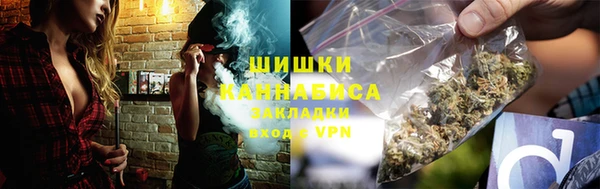 сатива Карталы