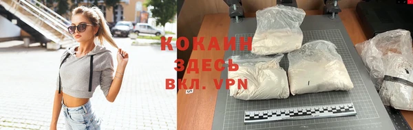 твердый Карпинск