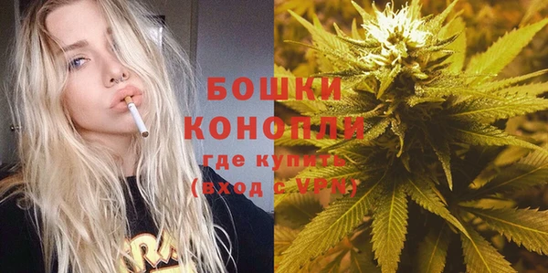 сатива Карталы