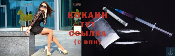 твердый Карпинск